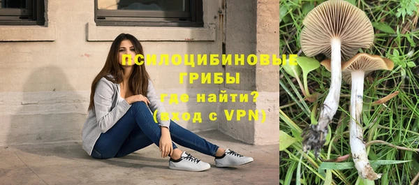 экстази Арсеньев