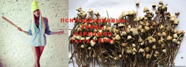 MESCALINE Аркадак