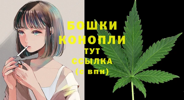MESCALINE Аркадак