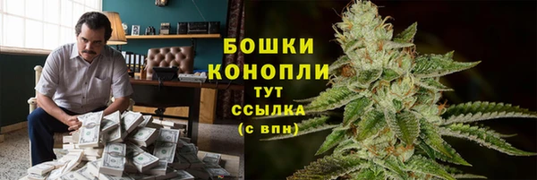 MESCALINE Аркадак